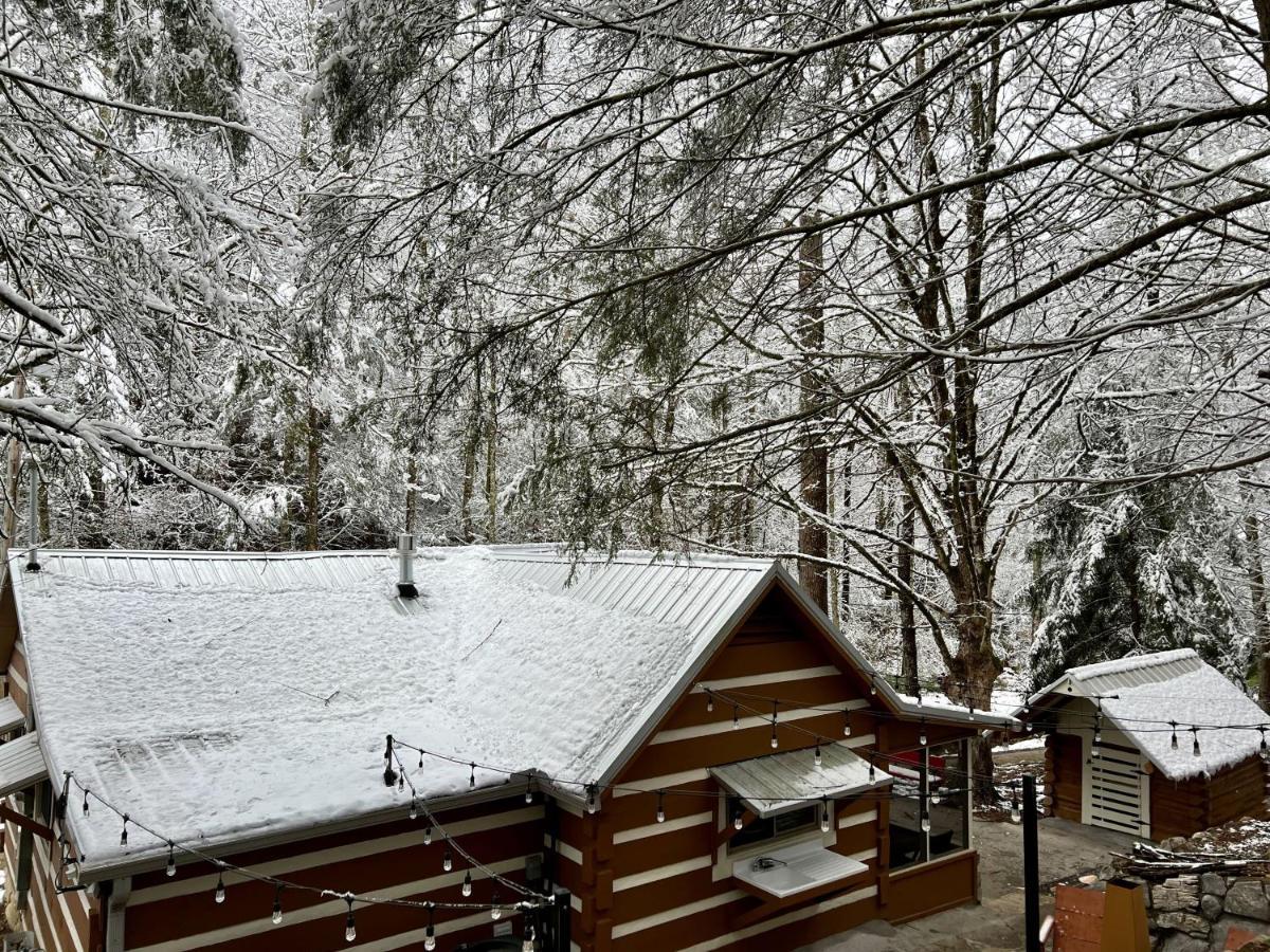 Beary Relaxing Cabin - Rustic With Outdoor Patio Таунсенд Экстерьер фото